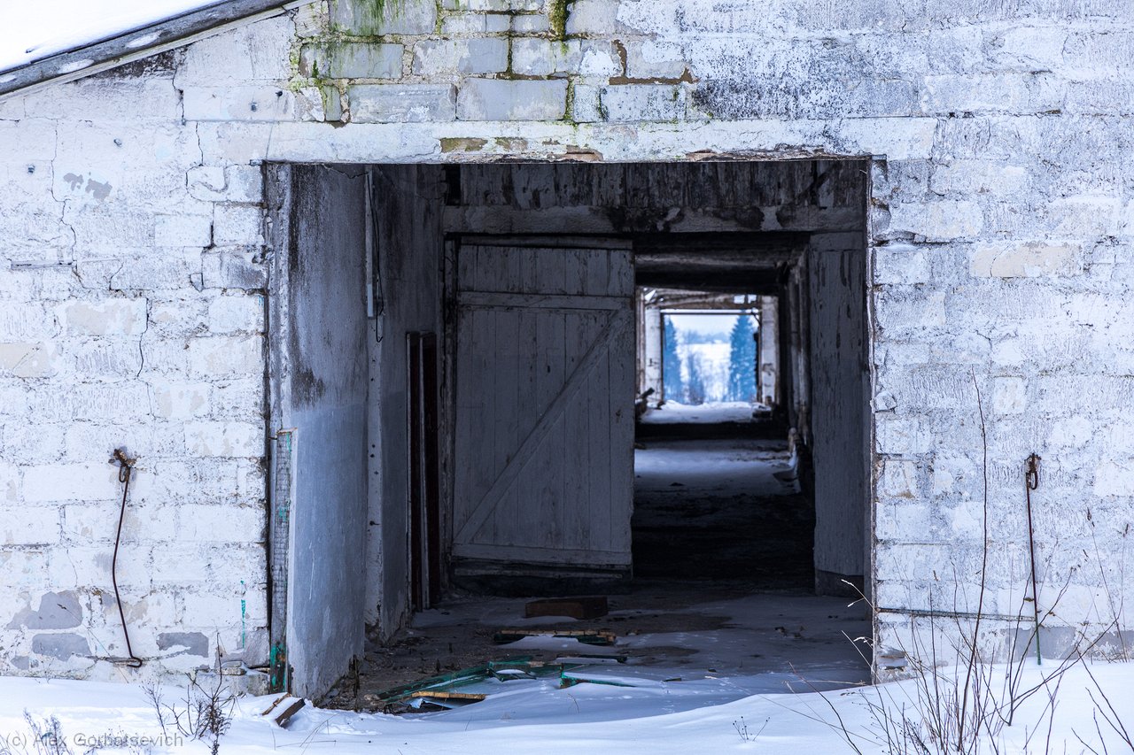 ���� �... ������� �������