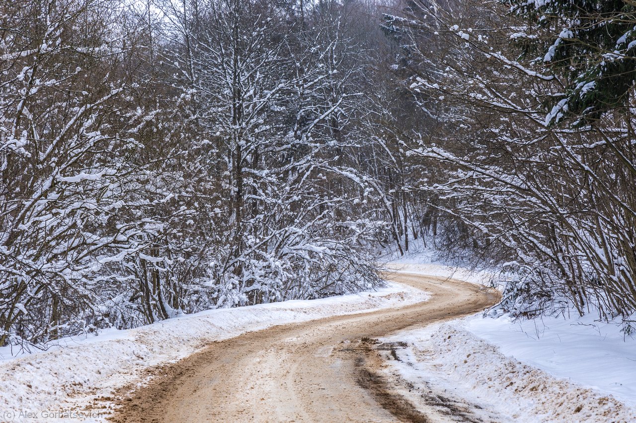 �������� �����