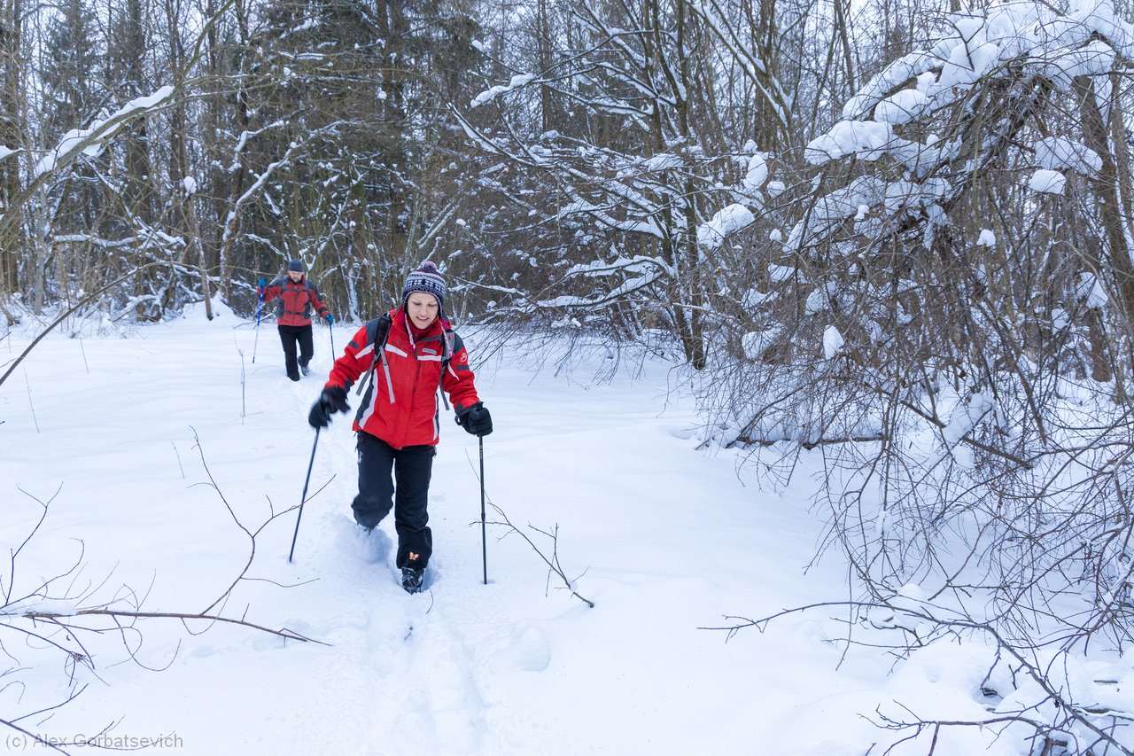 ����� ������� ��������