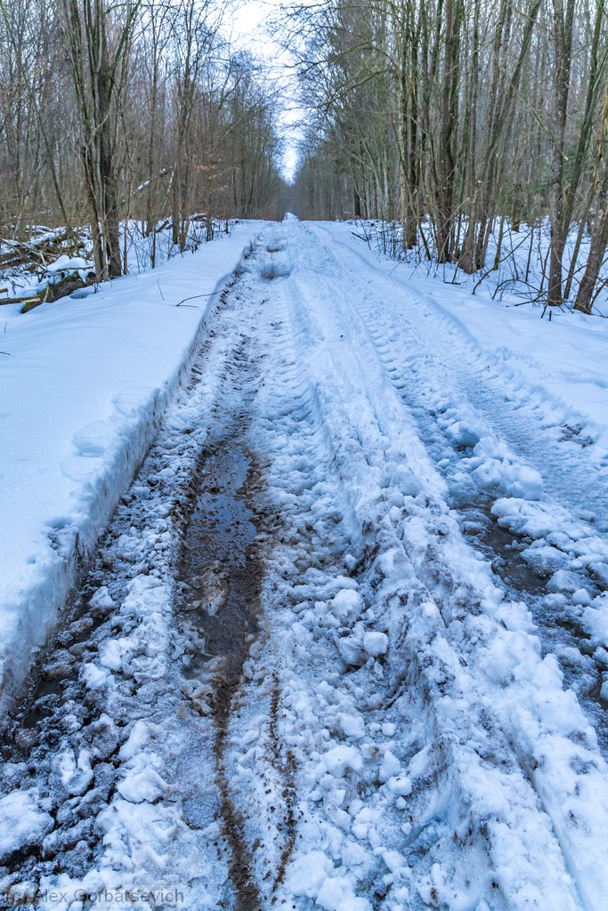 �������� ������. ��� ����� ���������