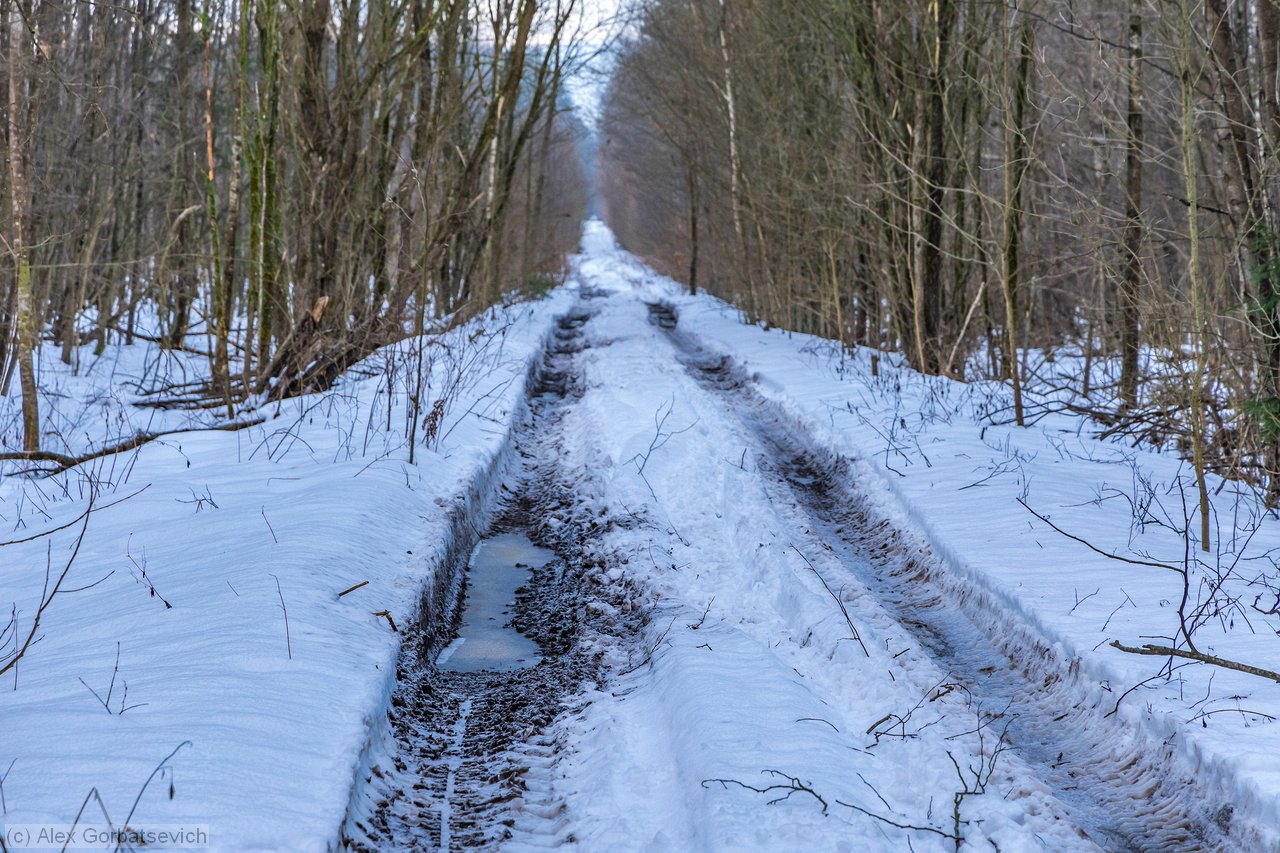 ������ � ����