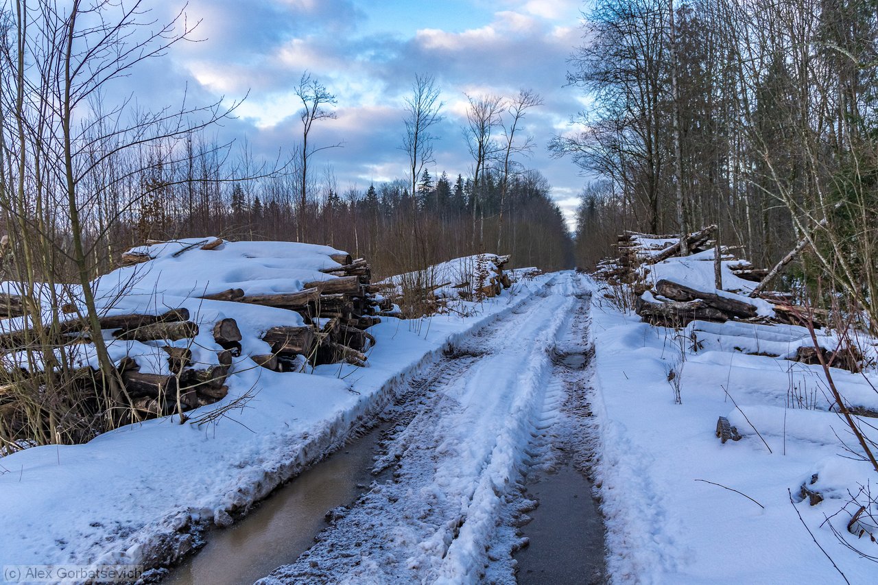 ������ �� �������