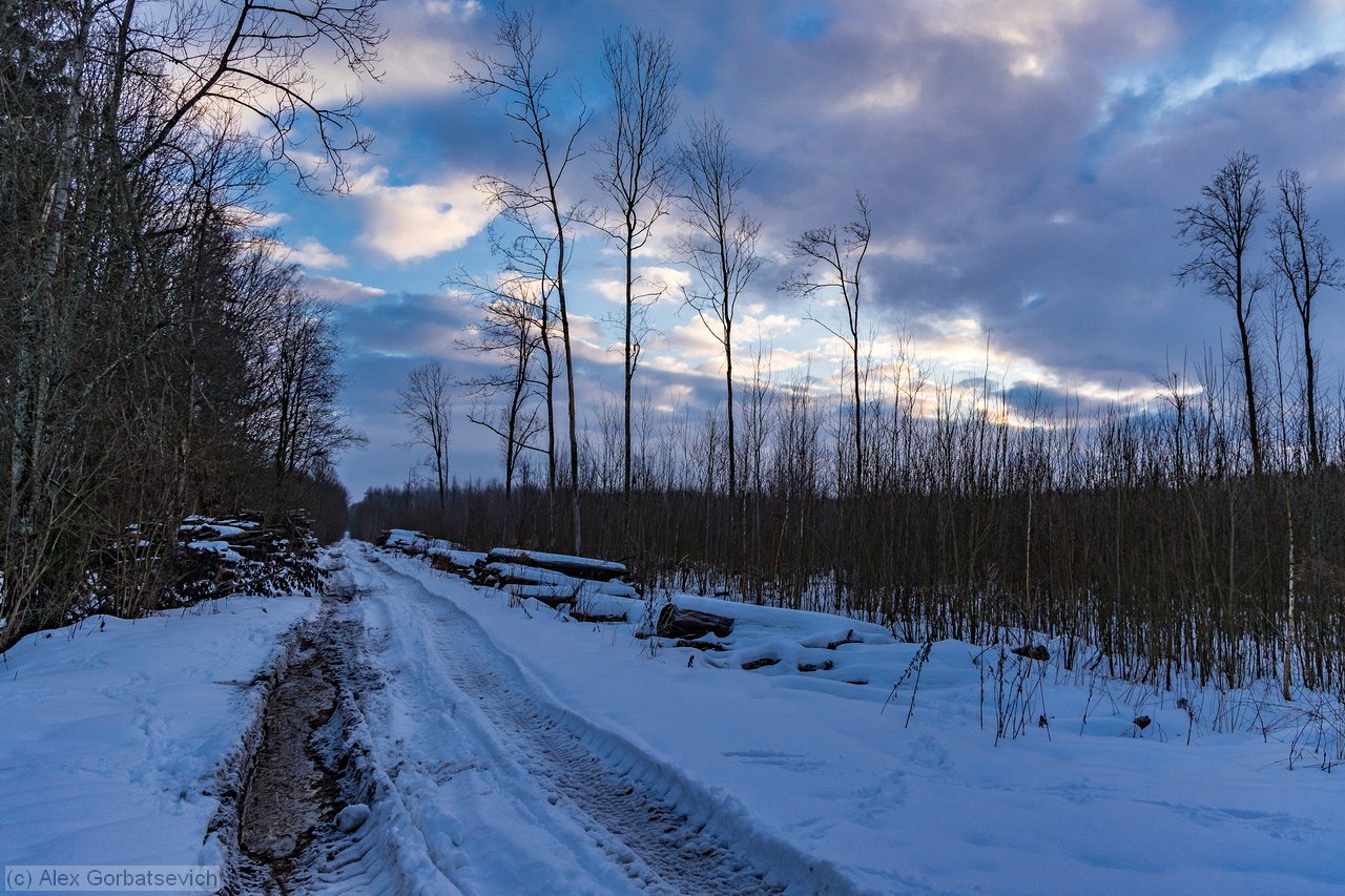 ������� �� �������