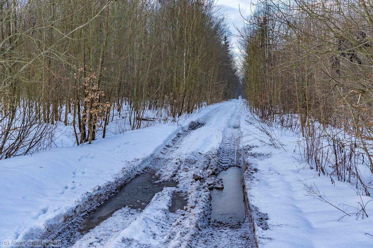 ��������� ����������