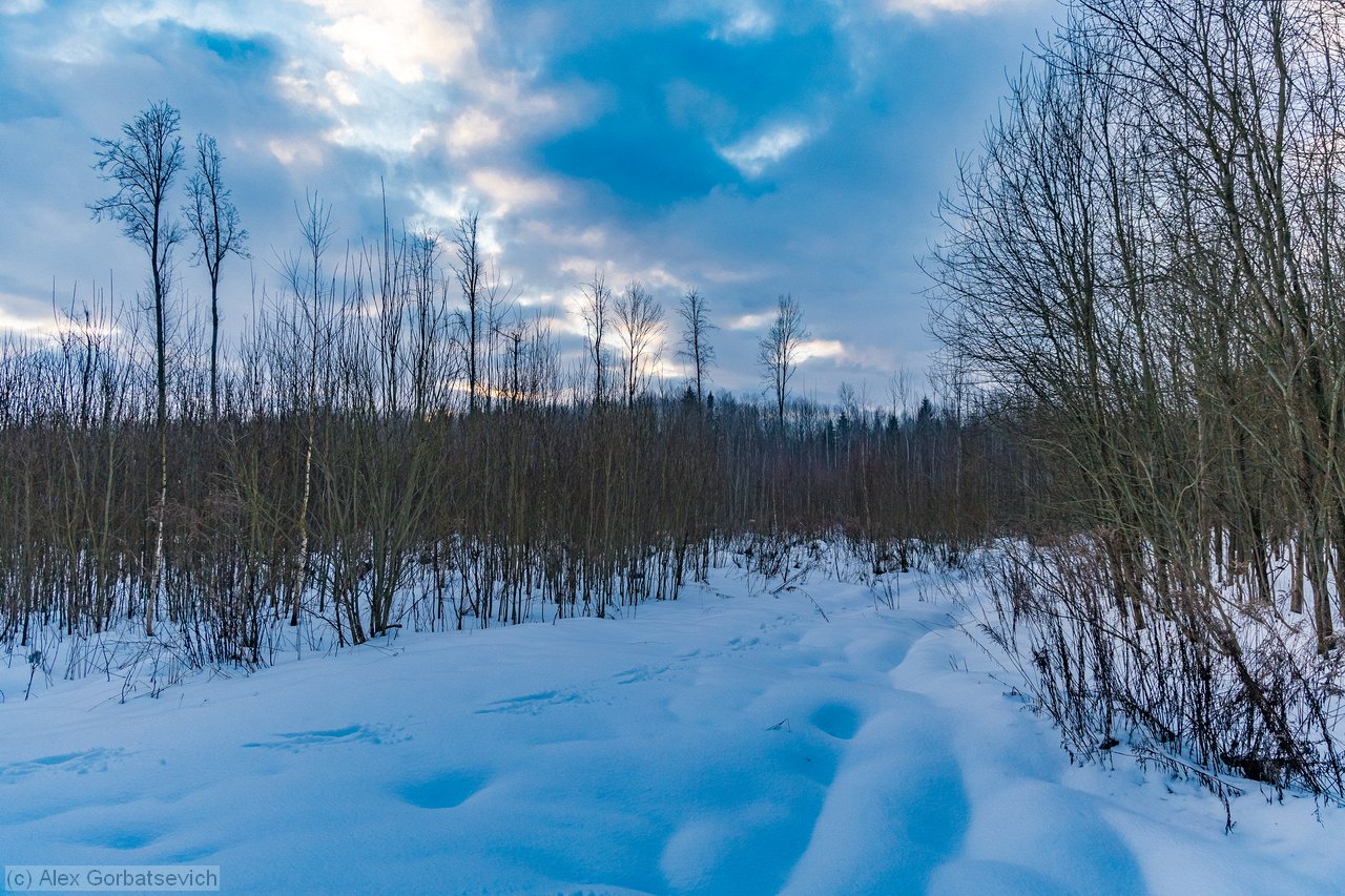 ���������� ������