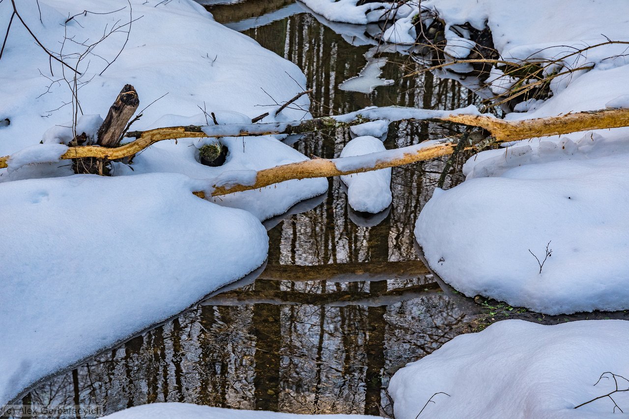 � ��� �������� ����������