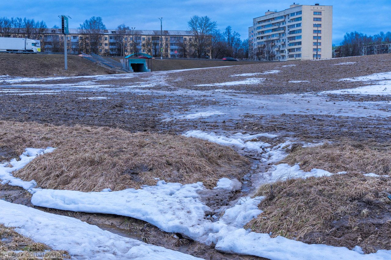 ������ ����