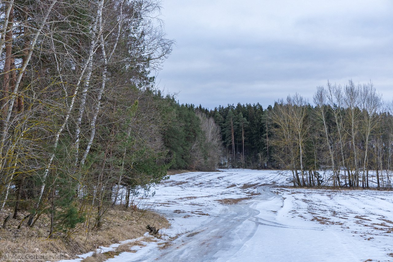 ������� ������