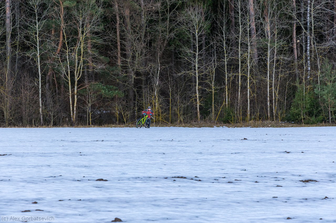 ����� ����