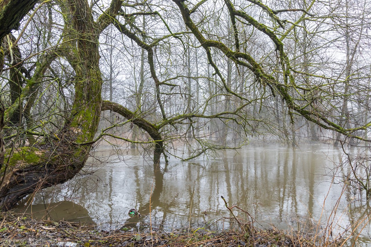 ������ �������