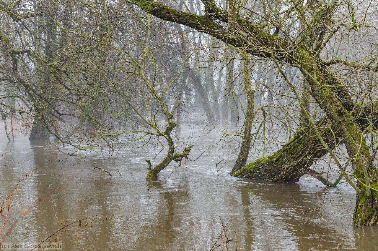 ����� ��� �����