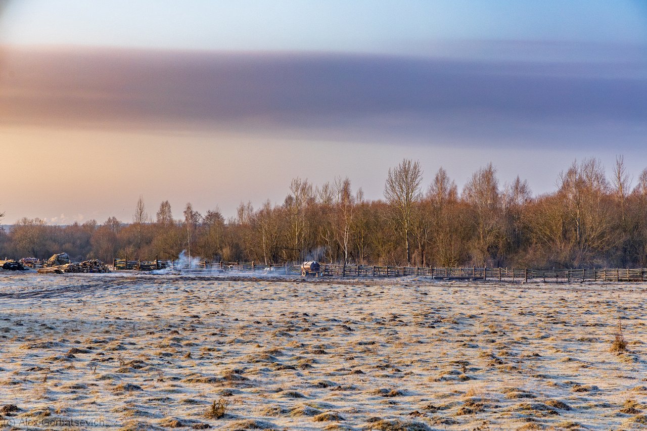 ����. �������� ����