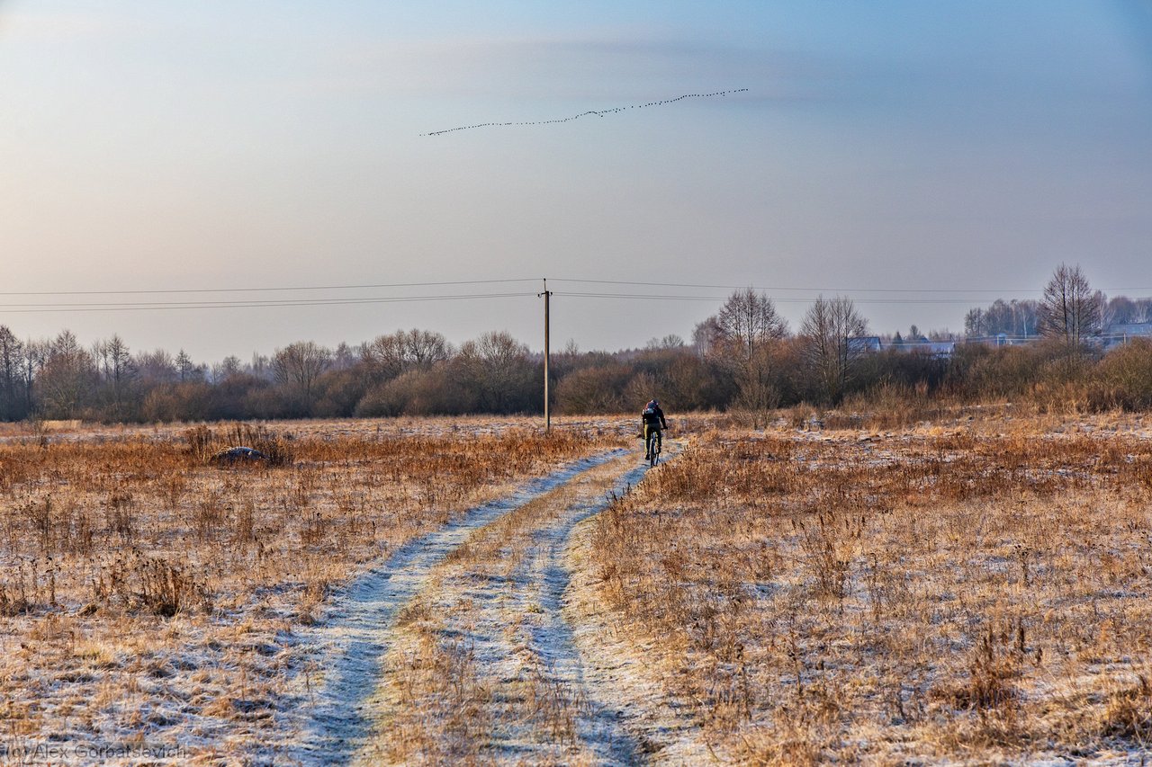 �� �����