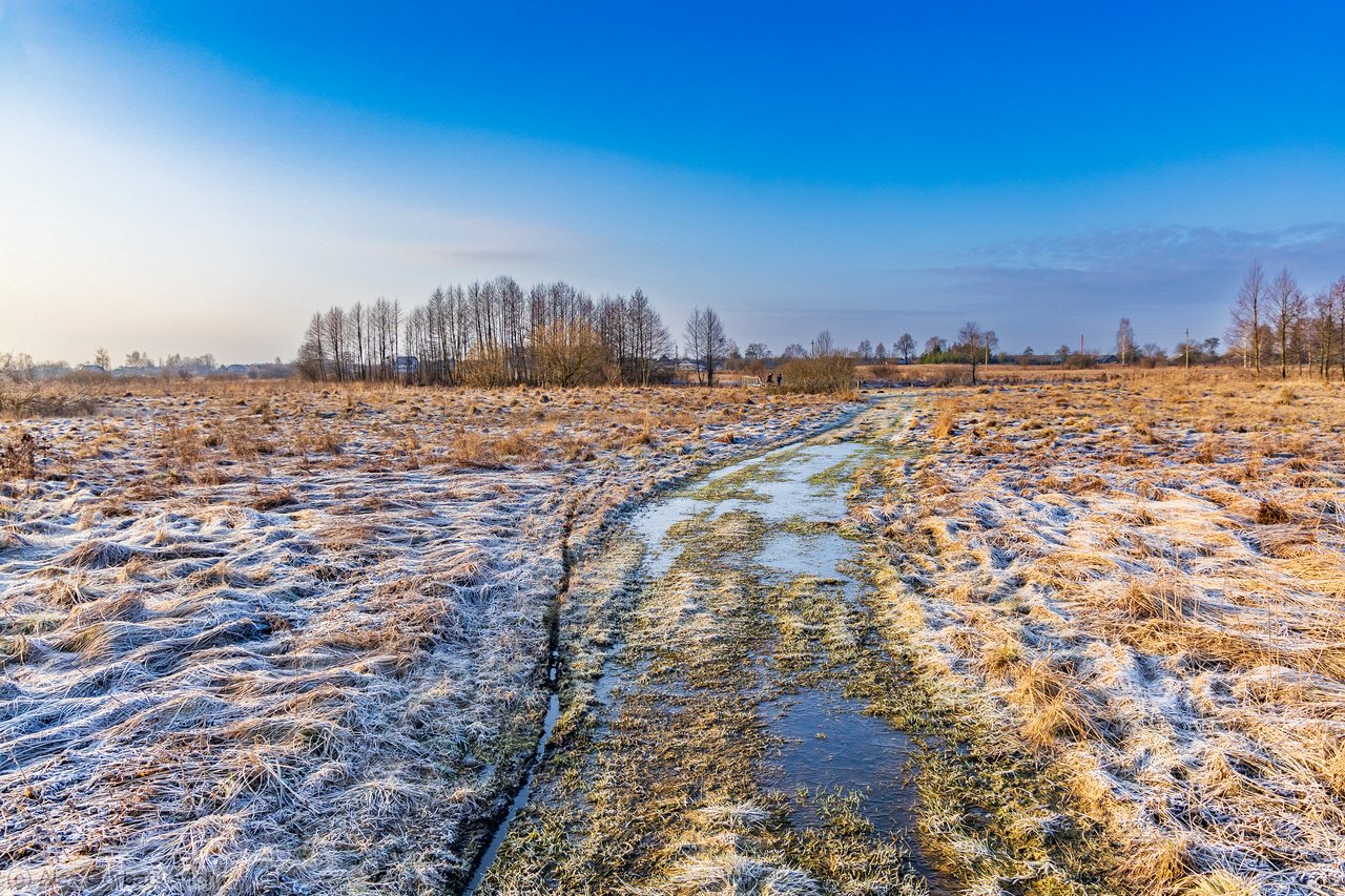 ������ �� ������