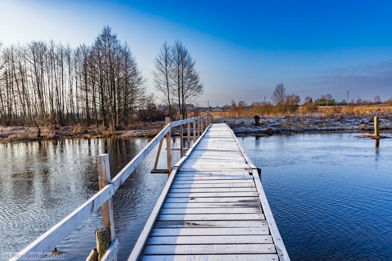 ���� ����� �. �����