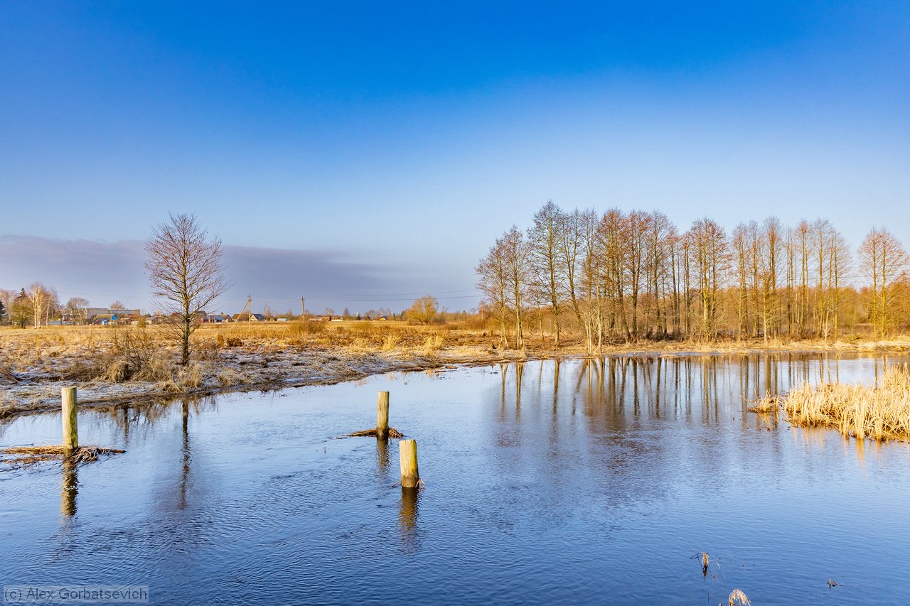 �. �����