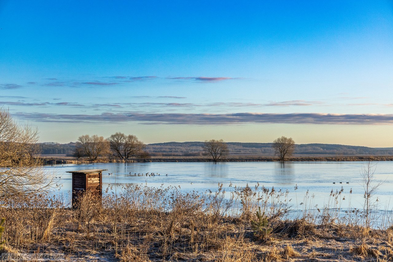 ��� �������� �� ��������