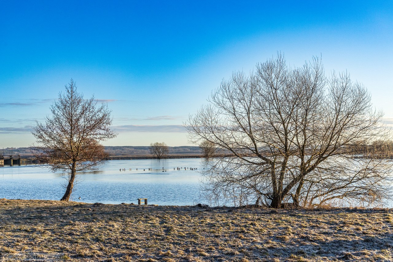 �� �����