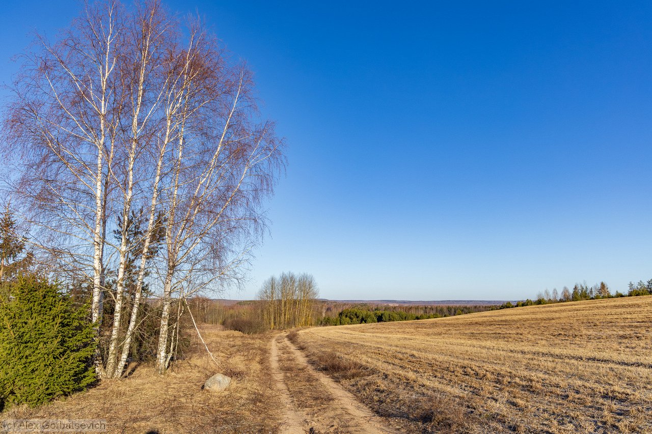 ������� ������