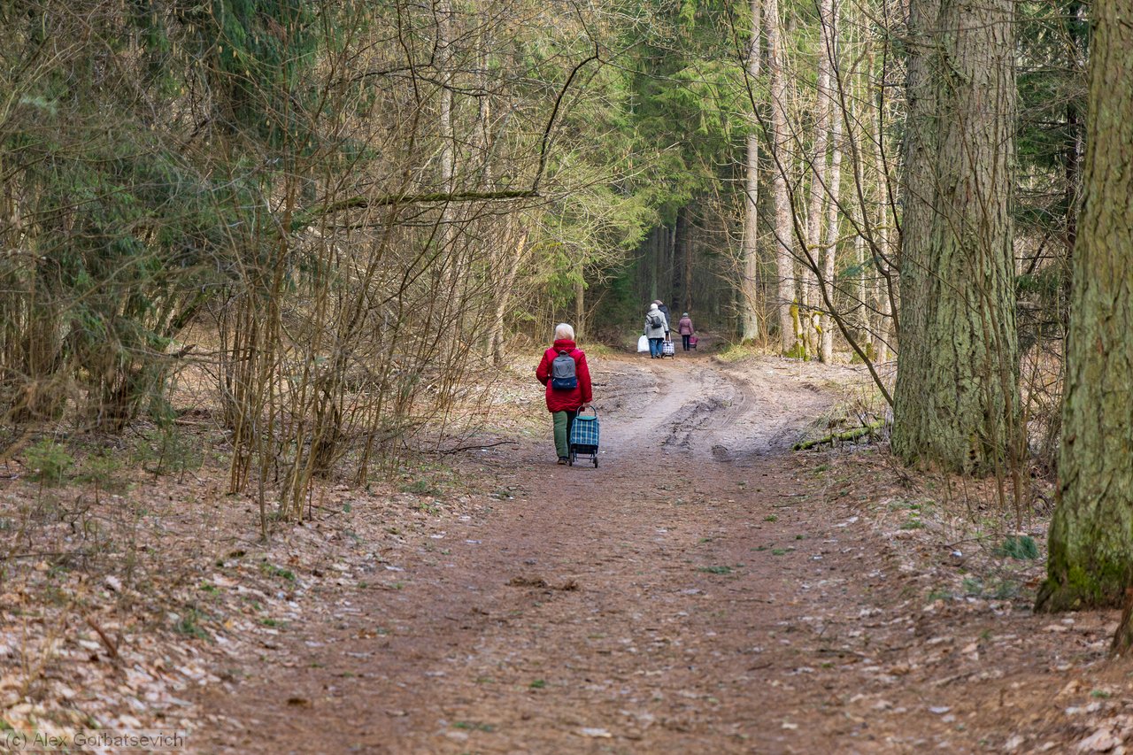 ��� �� ��� �����