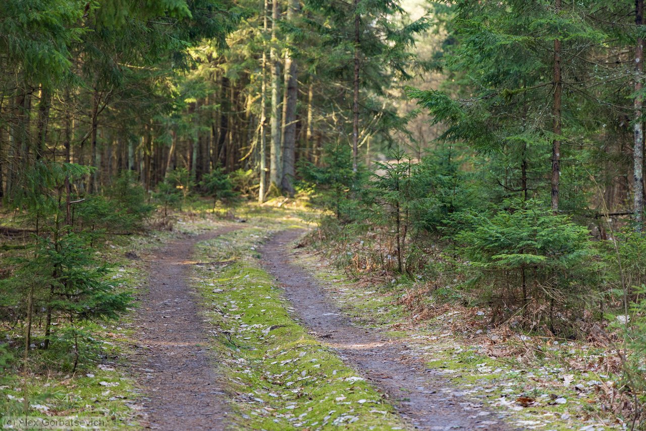 ������ �������