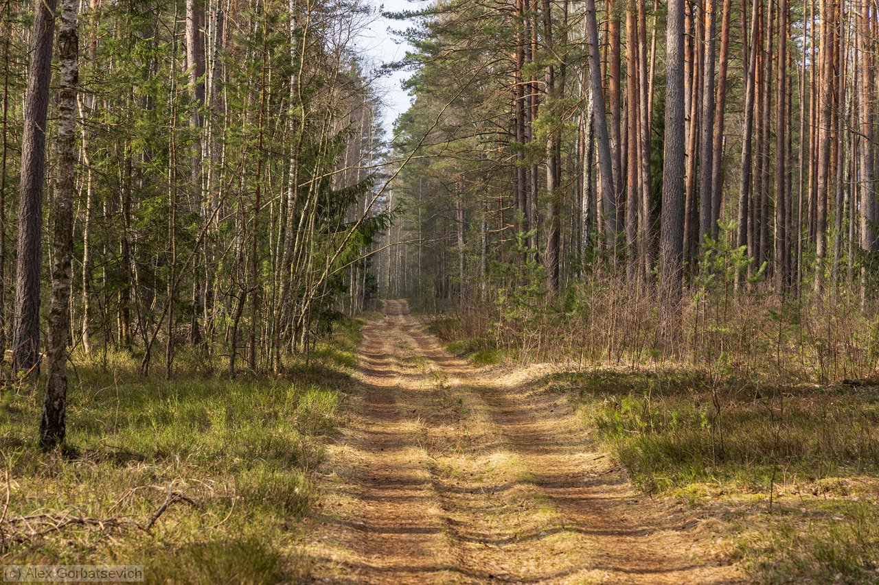 ��������� ������ �������