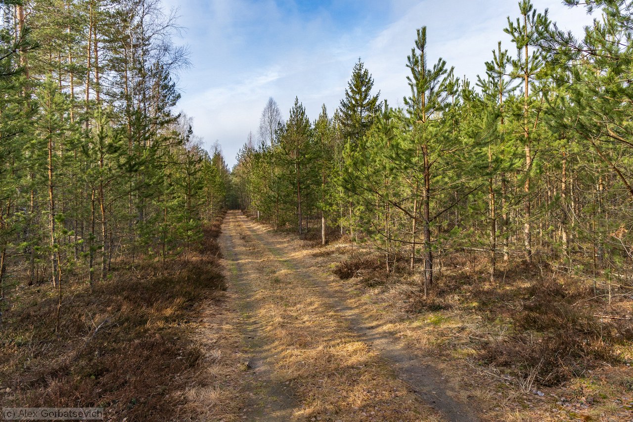 ��������� �������� ����