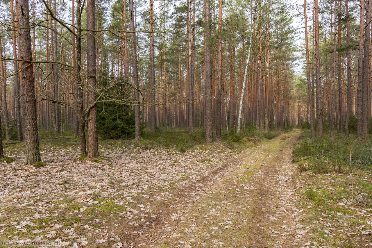 �� �������� ������