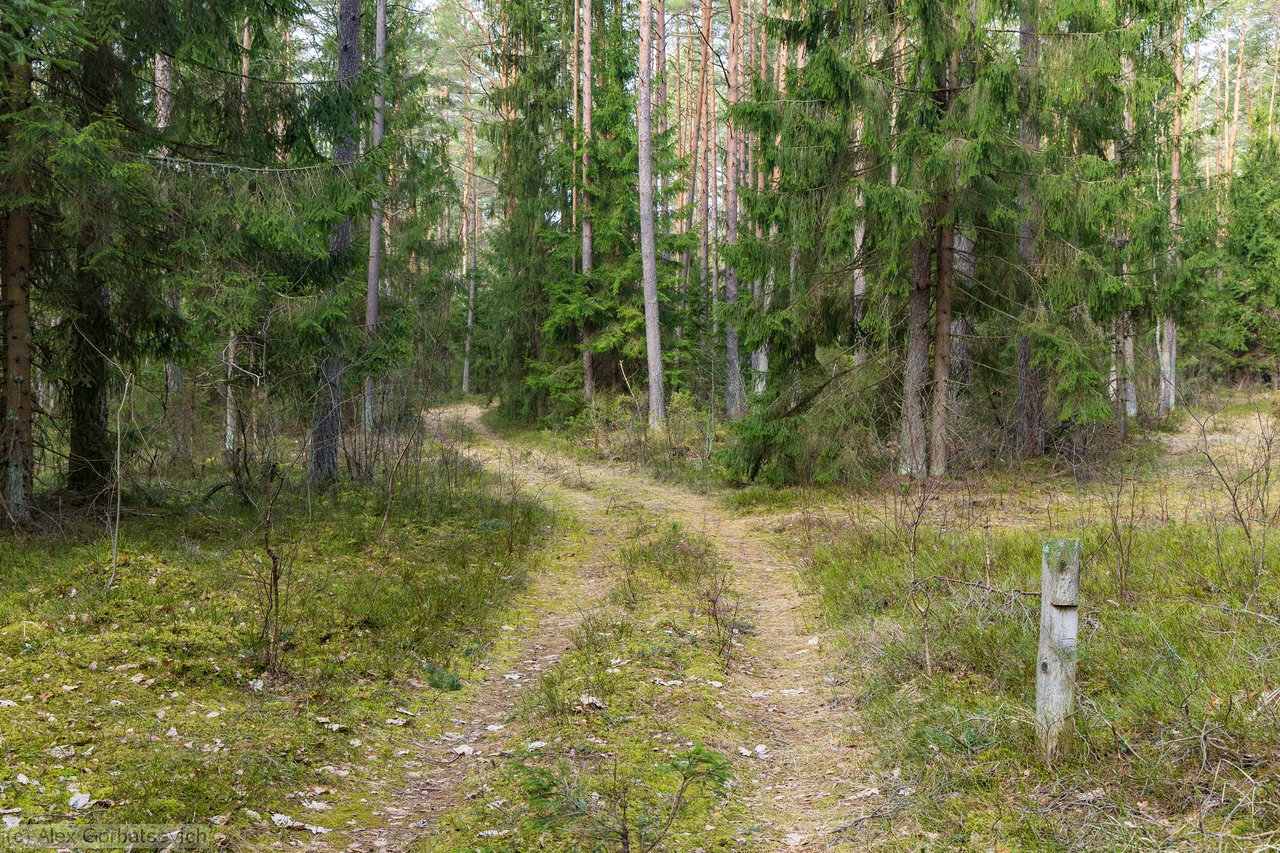 ������� � ����