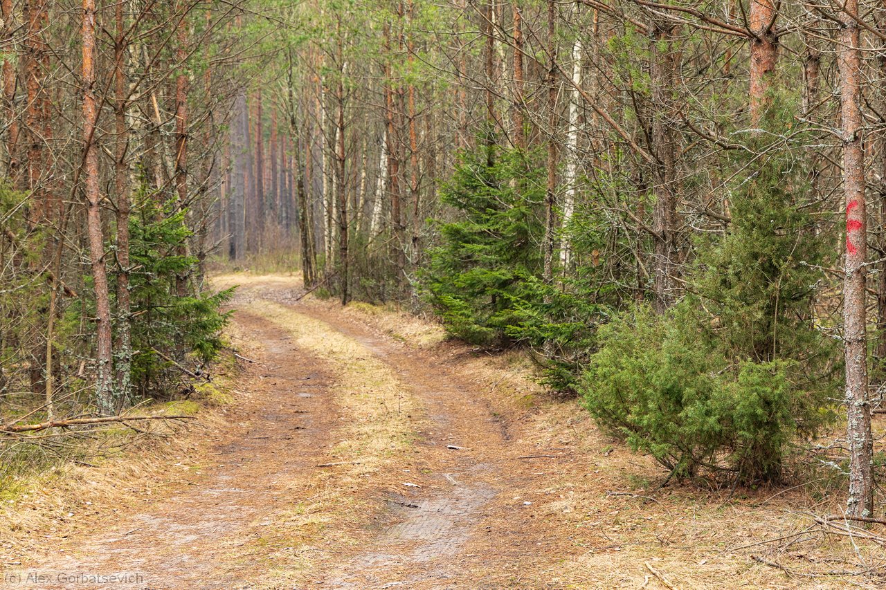 � ��� �� ����