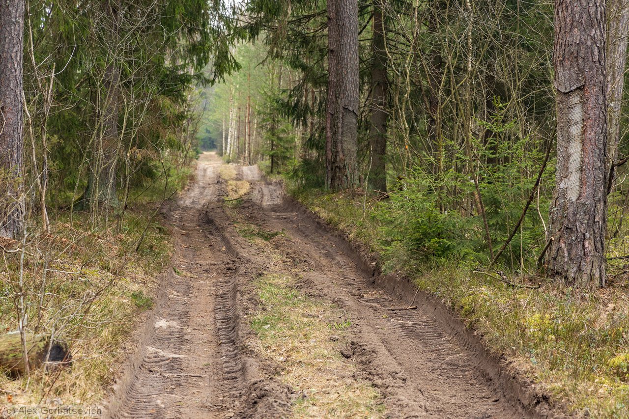 ��� ����