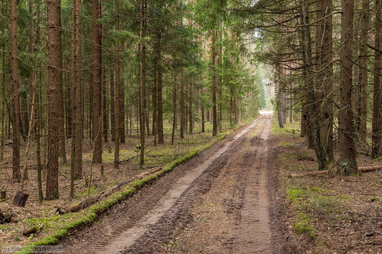 ���� � ����� �������