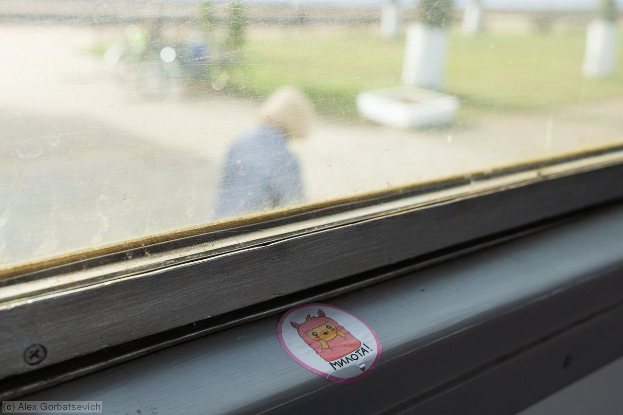 ������ ���� ���