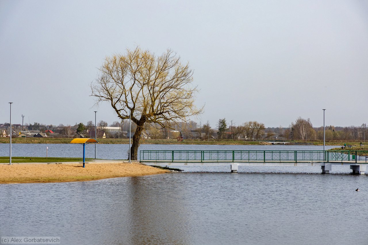 ���� ������