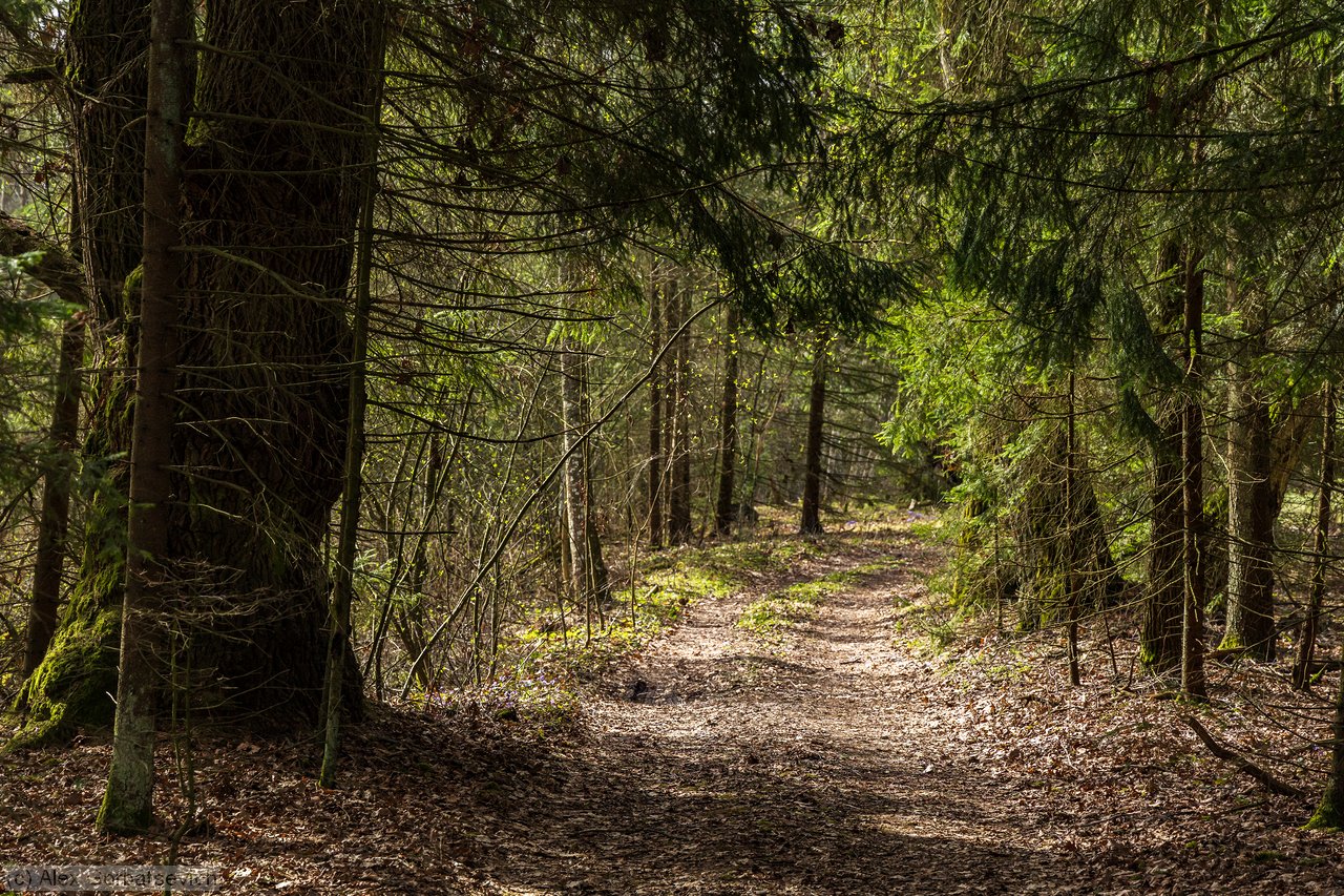 ������ � ����