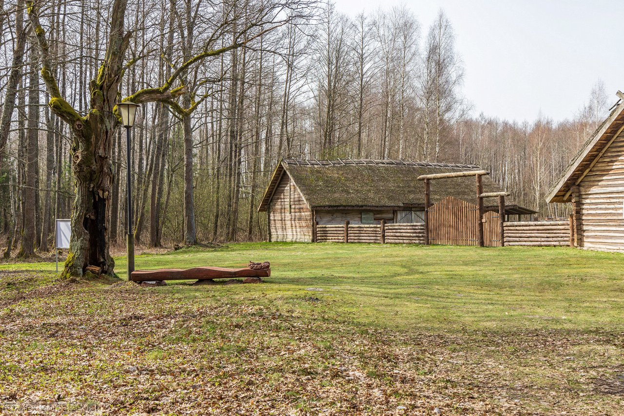 ����� ����� ������