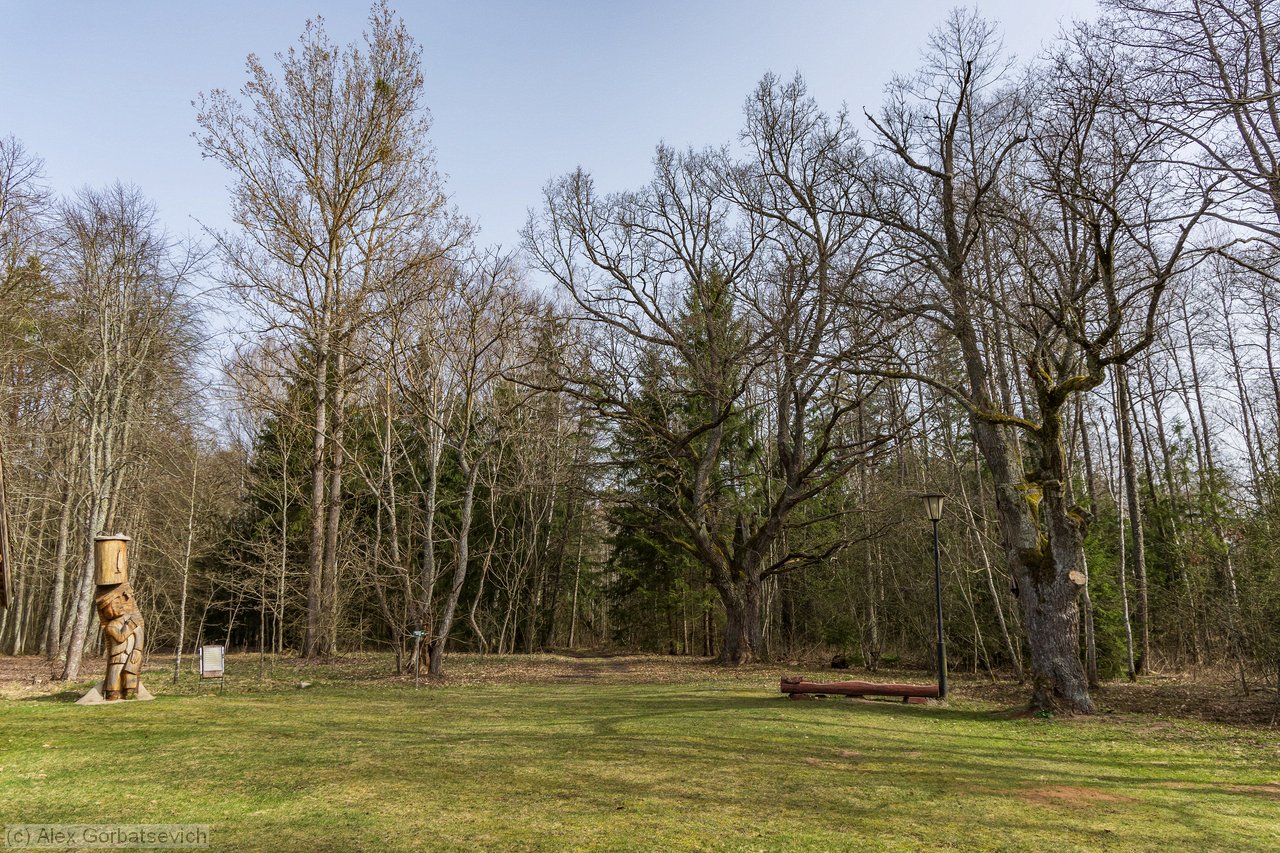 ����� ����� ������