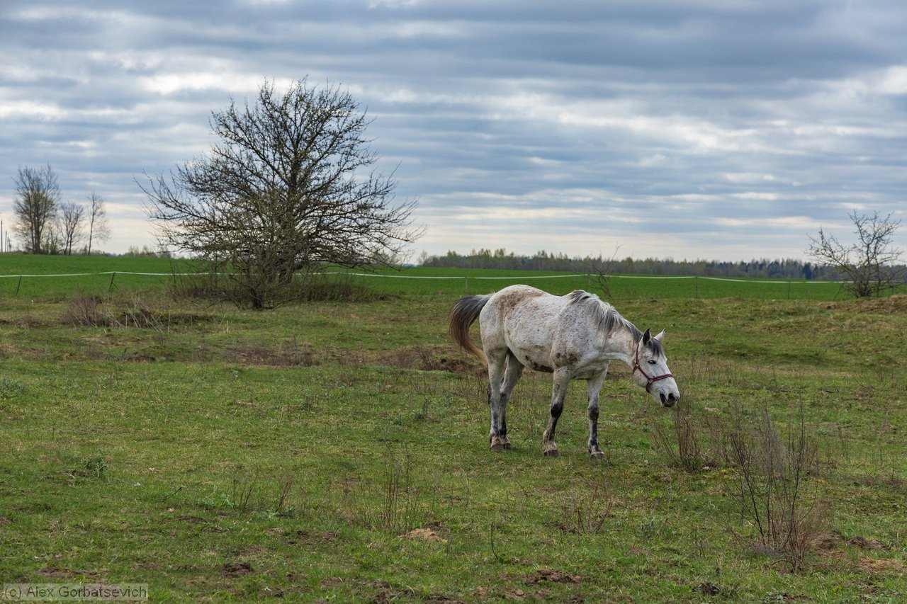 ��������������