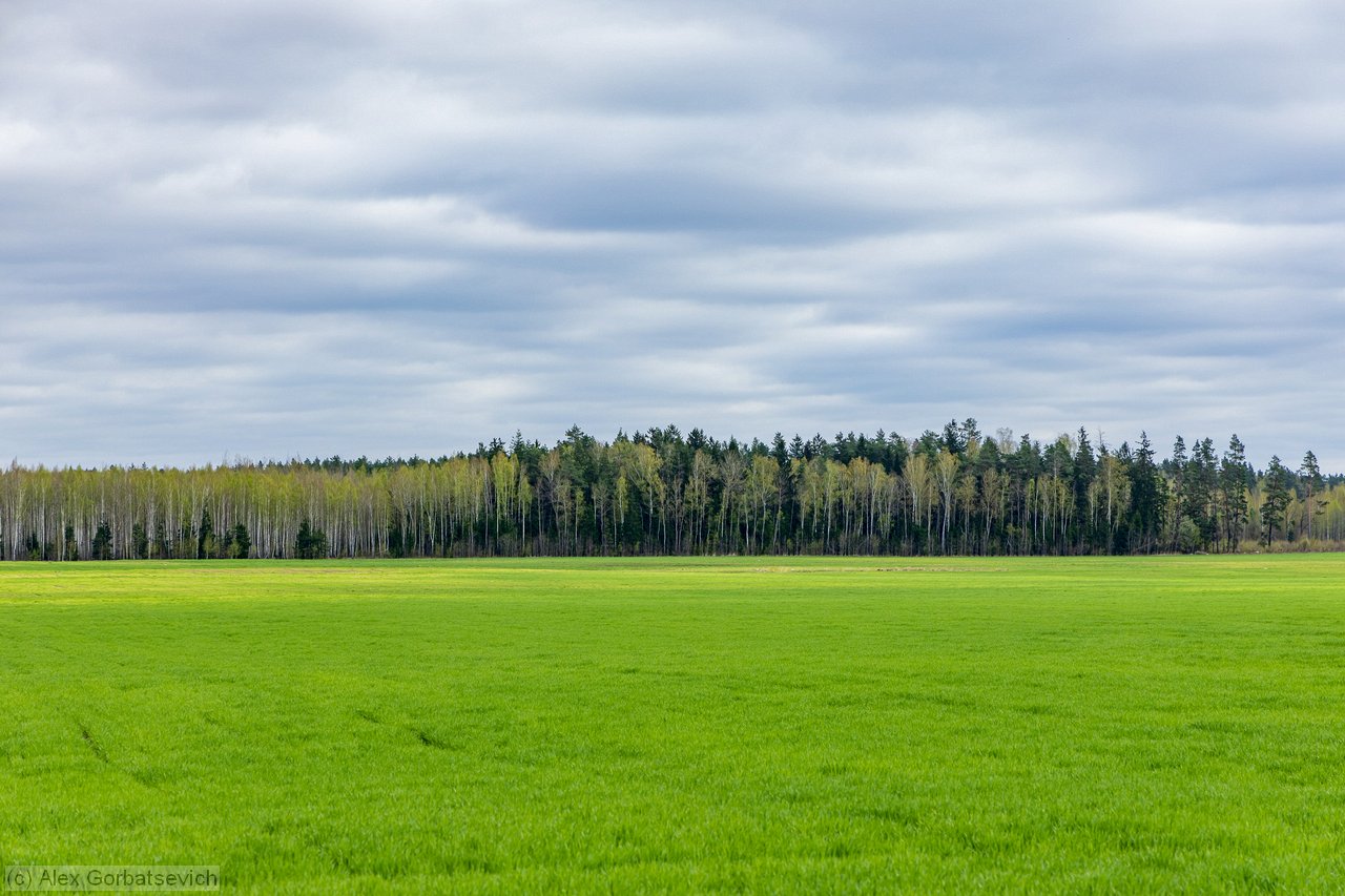 ����� ����