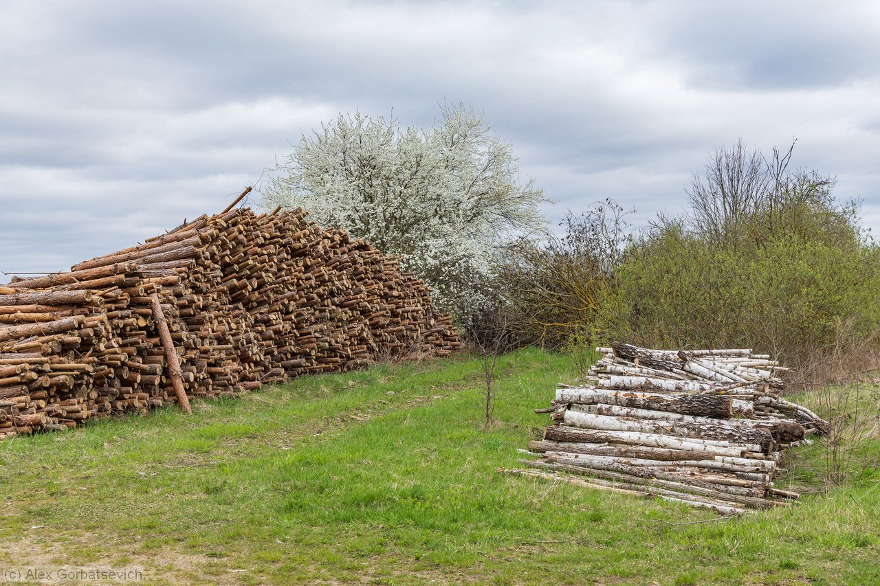 �����. ������������