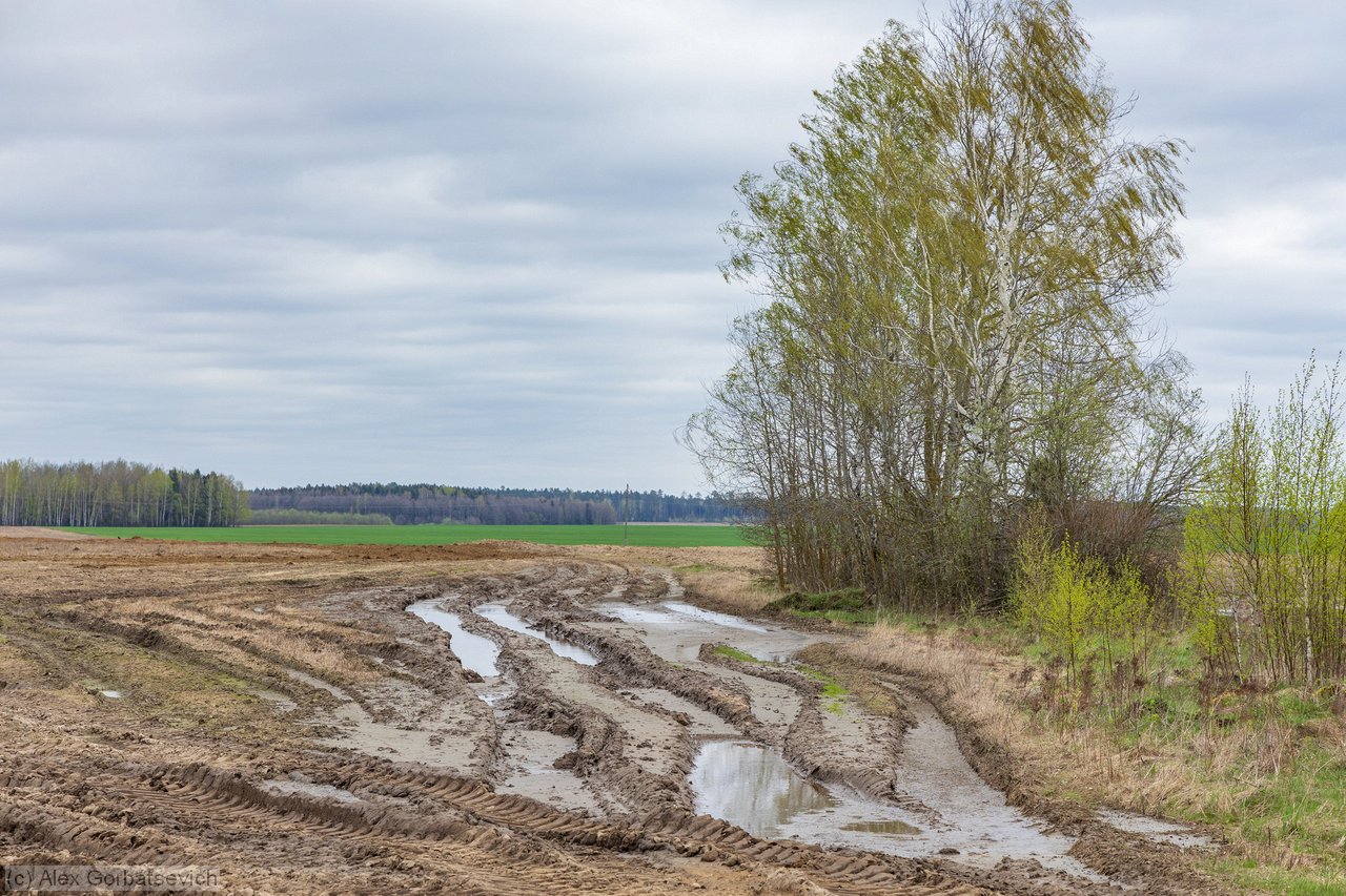 ������� ���������