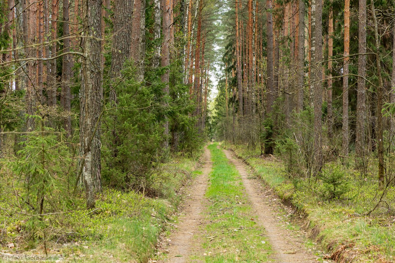 ������ �� �������