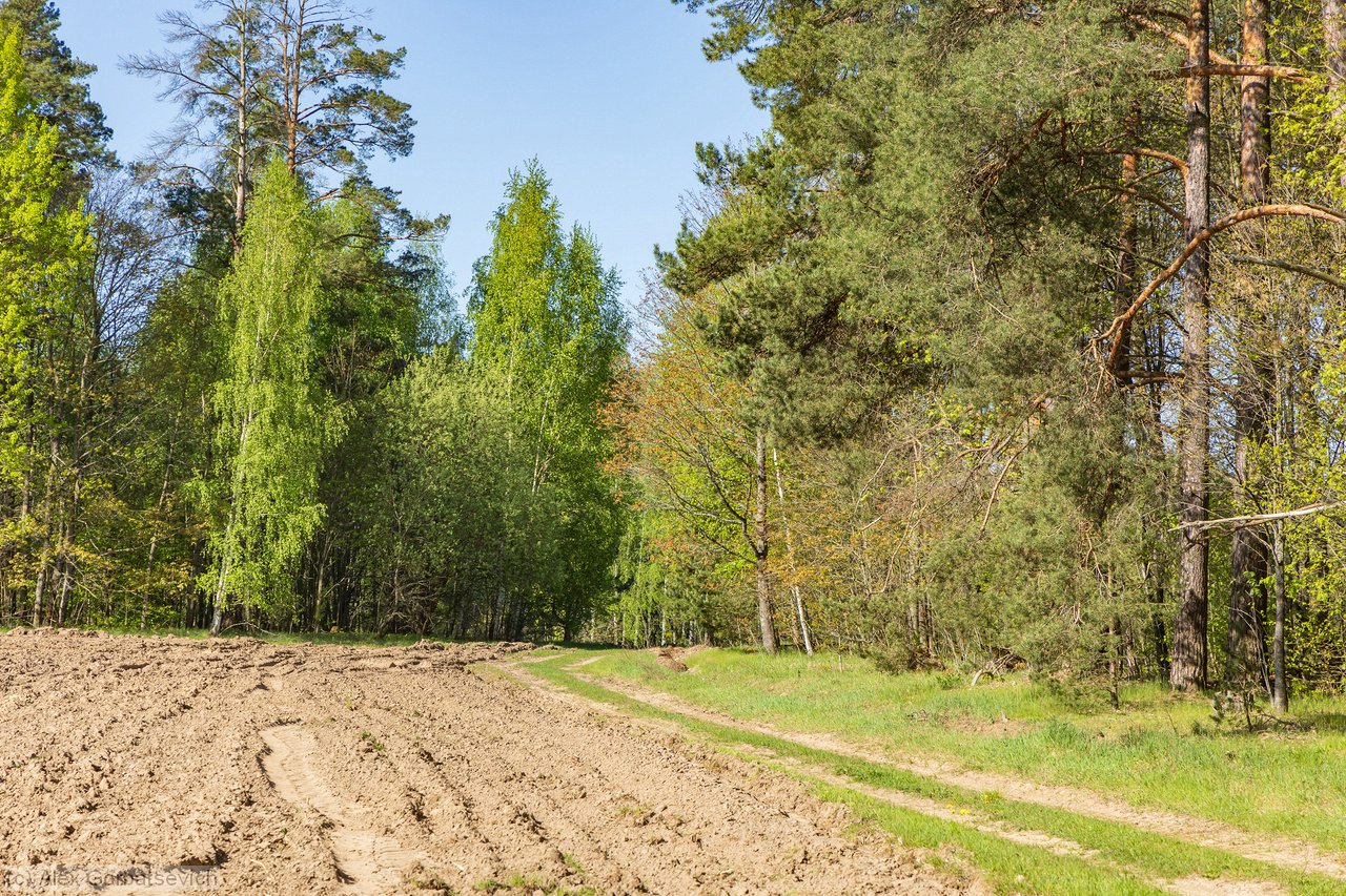 ������ �������