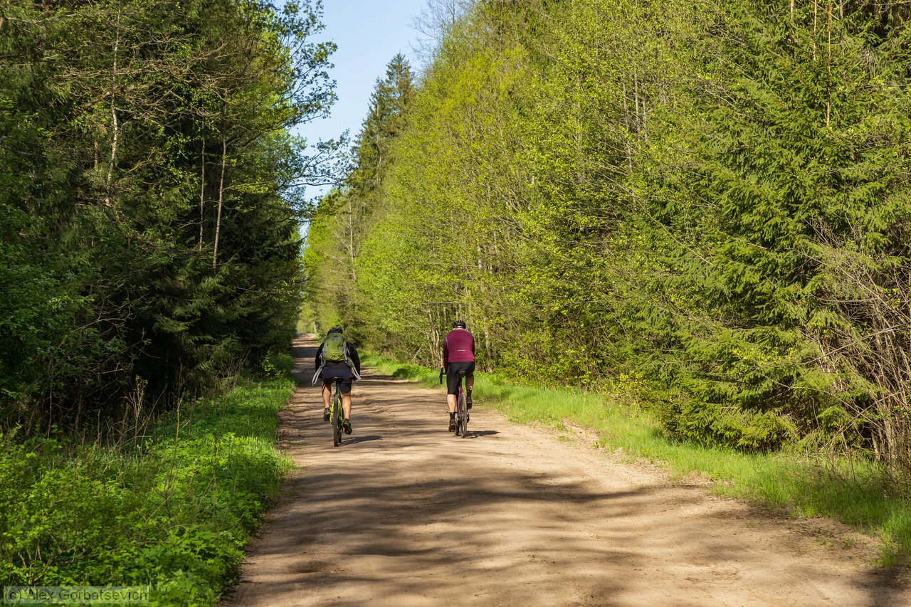 �� ��������