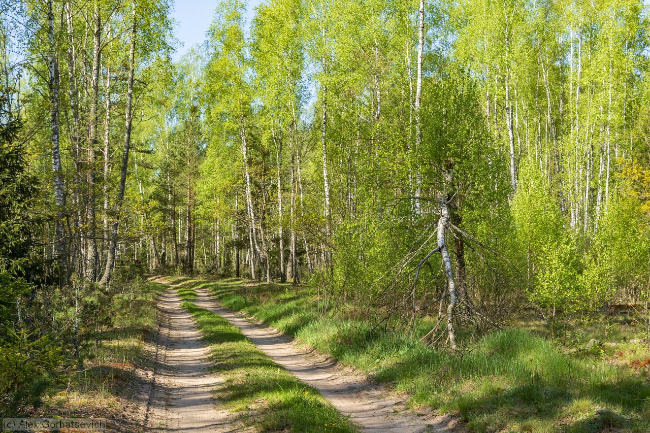 ����� �������