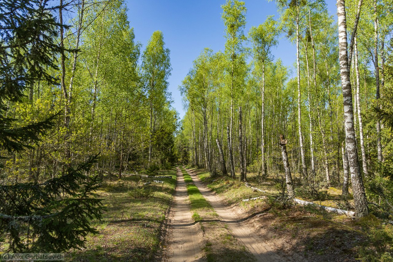 ������ ������