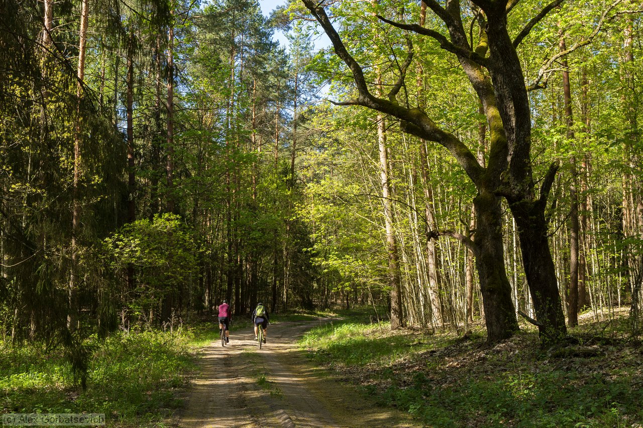 ��� �����