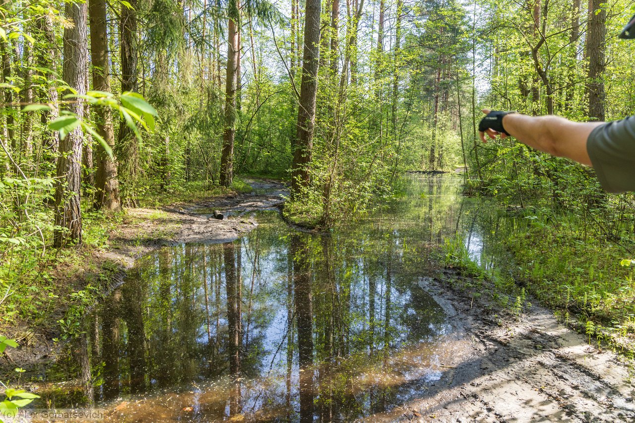 � ��� ����