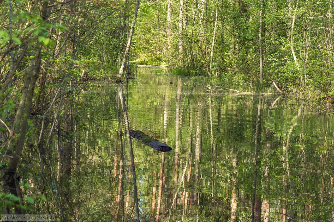 �������� �� �������..