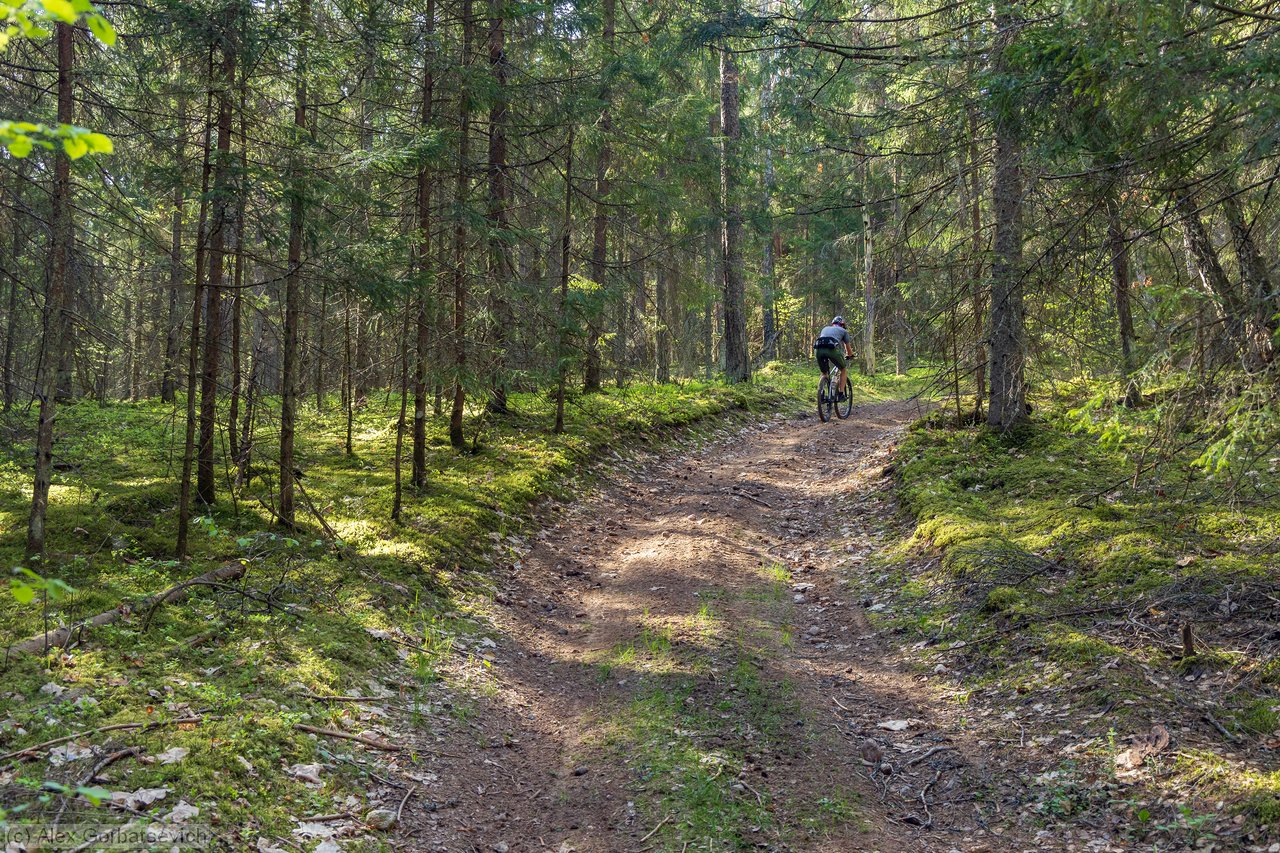 ������ ������